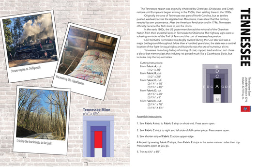 Quarter Millennial Quilt book
